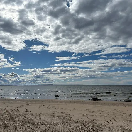 Dom wakacyjny Seaside *